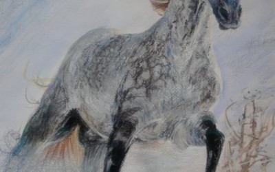 PF 2012