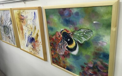 Společné téma_Zahrada